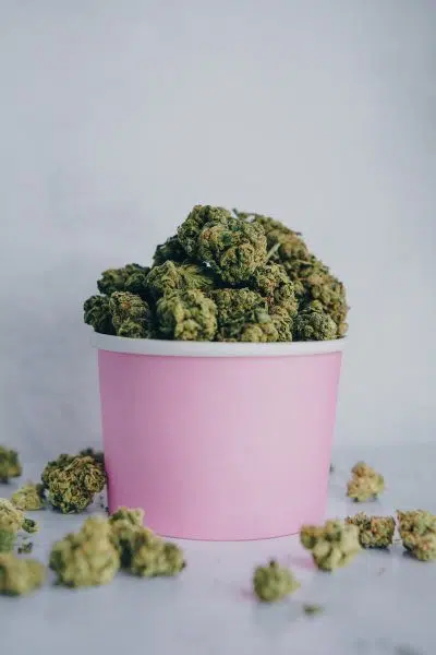 green kush in pink bucket